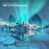 The Blizzard - Tiny Little Molecule - Single